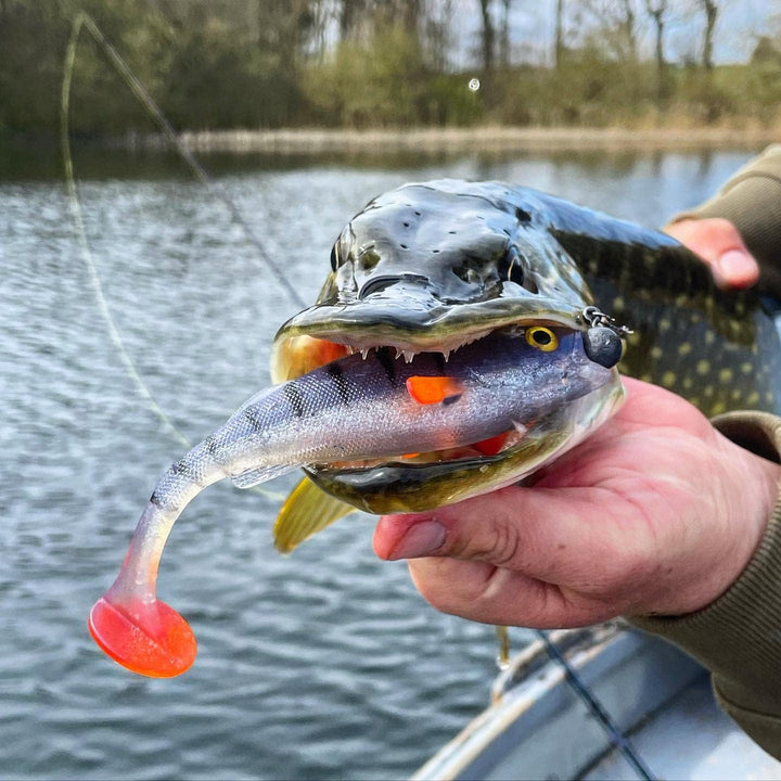 LMAB KØFI Perch Shad 7 cm (KÖFI) Farbe Green Pumpkin Chartreuse