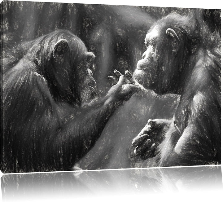 Pixxprint Schimpansen Freundschaft Kunst / 100x70cm Leinwandbild bespannt auf Holzrahmen/Wandbild Ku