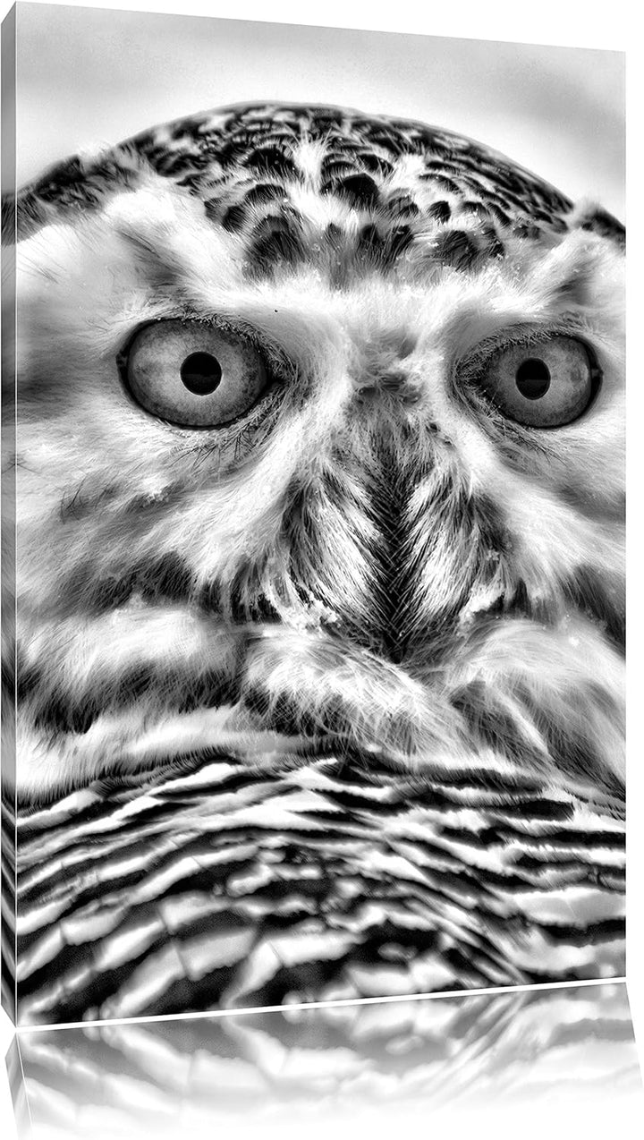 Monocrome, Schnee-Eule , Format: 100x70 auf Leinwand, XXL riesige Bilder fertig gerahmt mit Keilrahm