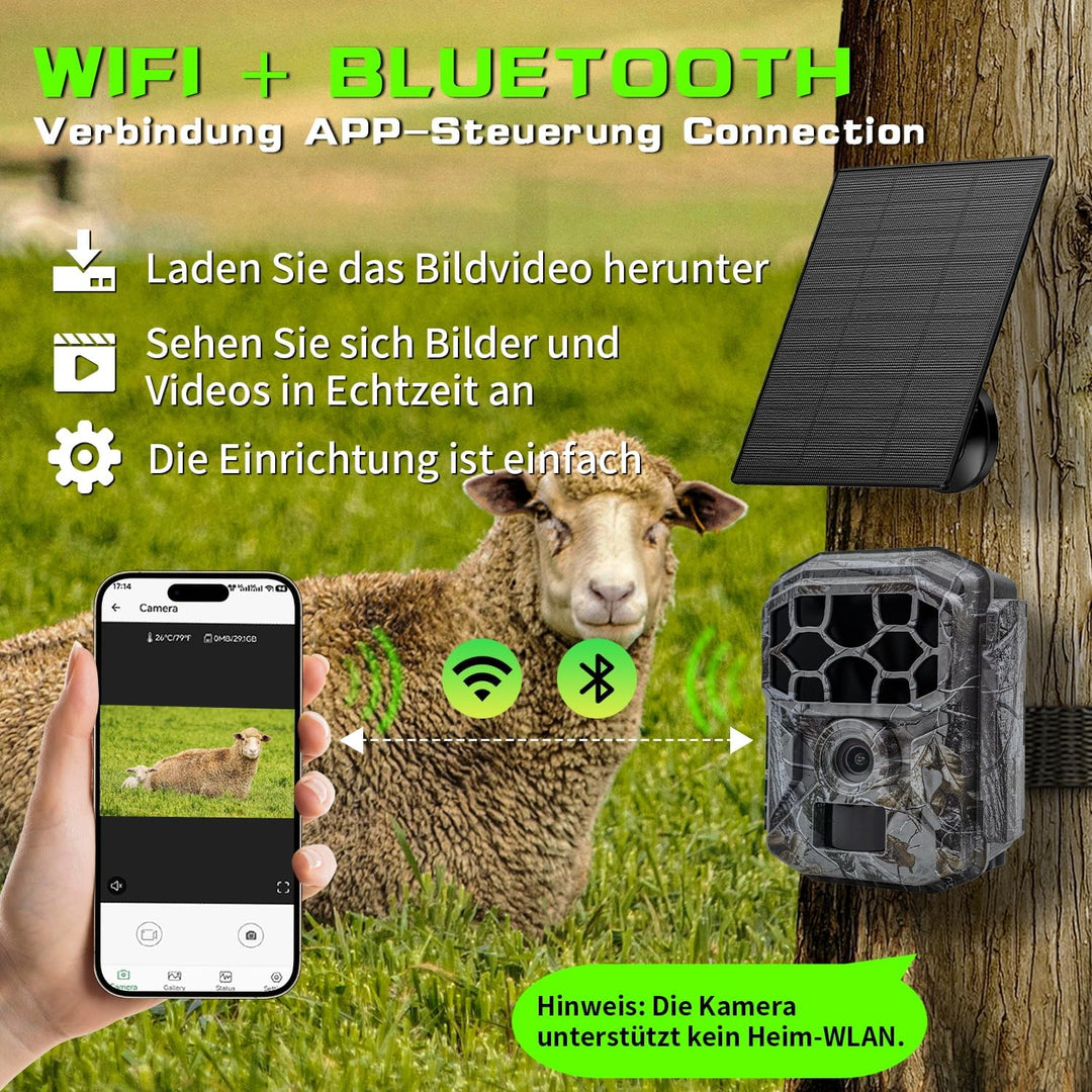 Wildkamera Solar WLAN mit Handyübertragung App 7800mAh Akku - 4K 60MP Wildtierkamera Bluetooth mit B