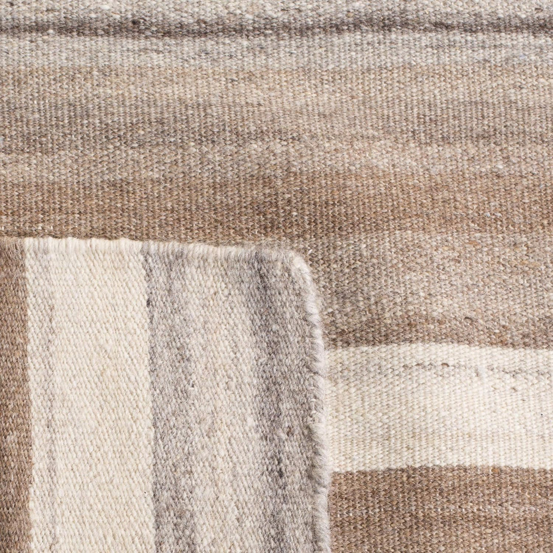 SAFAVIEH Zeitgenössische Teppich für Wohnzimmer, Esszimmer, Schlafzimmer - Dhurrie Collection, Kurze