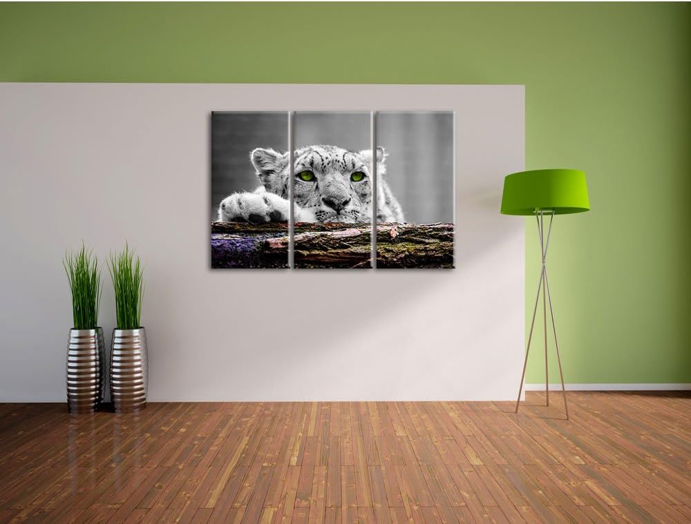Pixxprint Schöner Gepard mit grünen Augen / 3-Teilig/Gesamtmass 120cm Leinwandbild bespannt auf Holz