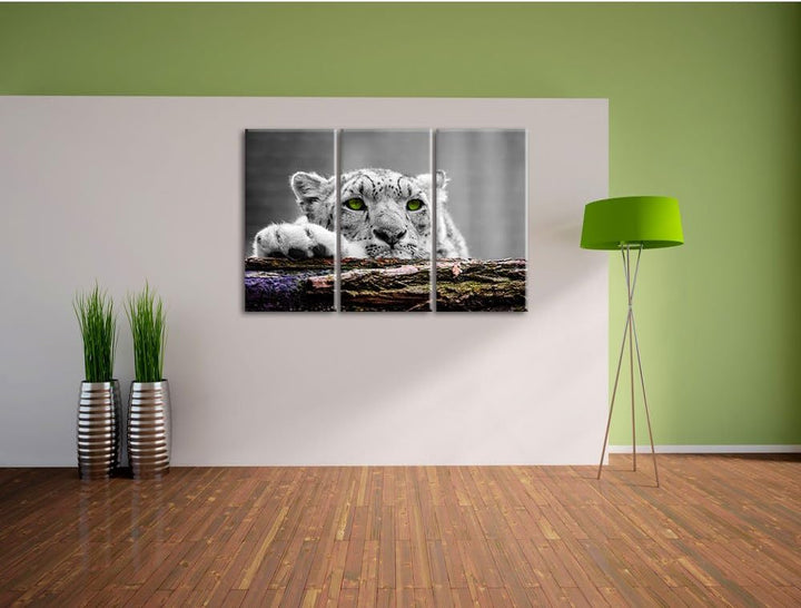 Pixxprint Schöner Gepard mit grünen Augen / 3-Teilig/Gesamtmass 120cm Leinwandbild bespannt auf Holz