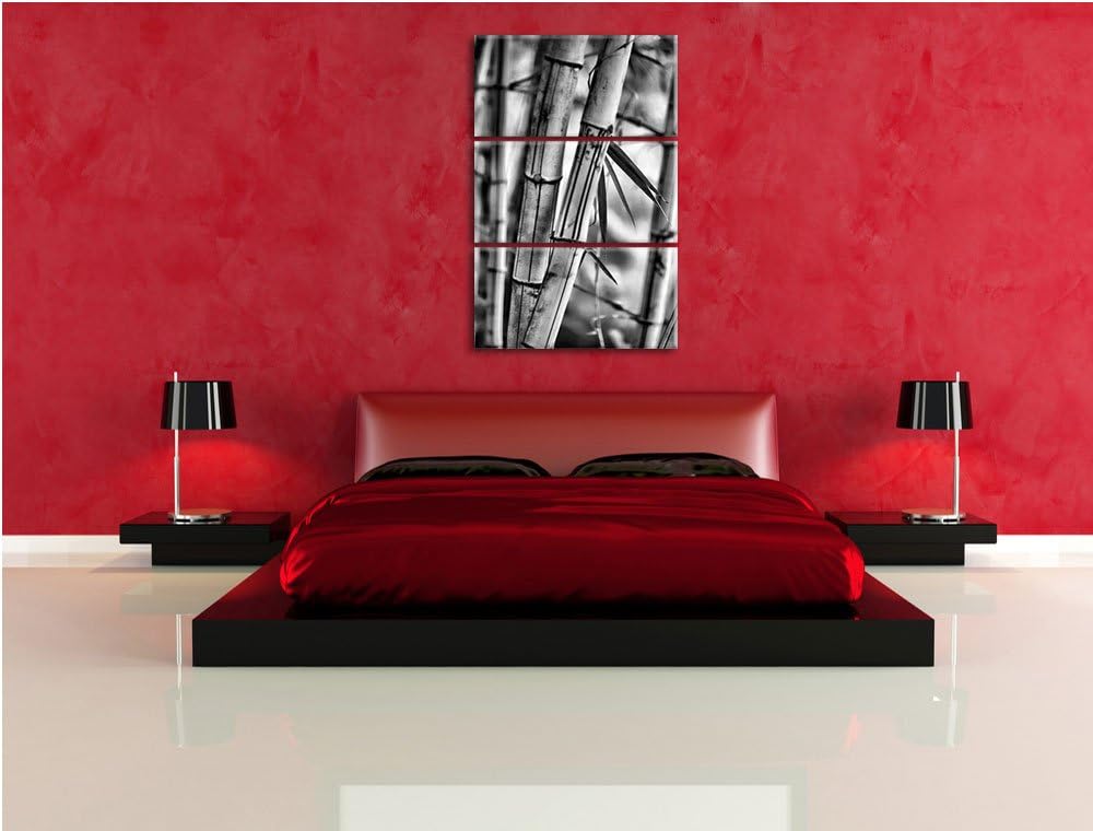 Pixxprint Alter Bambus Wald als Leinwandbild/Grösse: 3 Teilig (120x80) cm/Wandbild/Kunstdruck/fertig