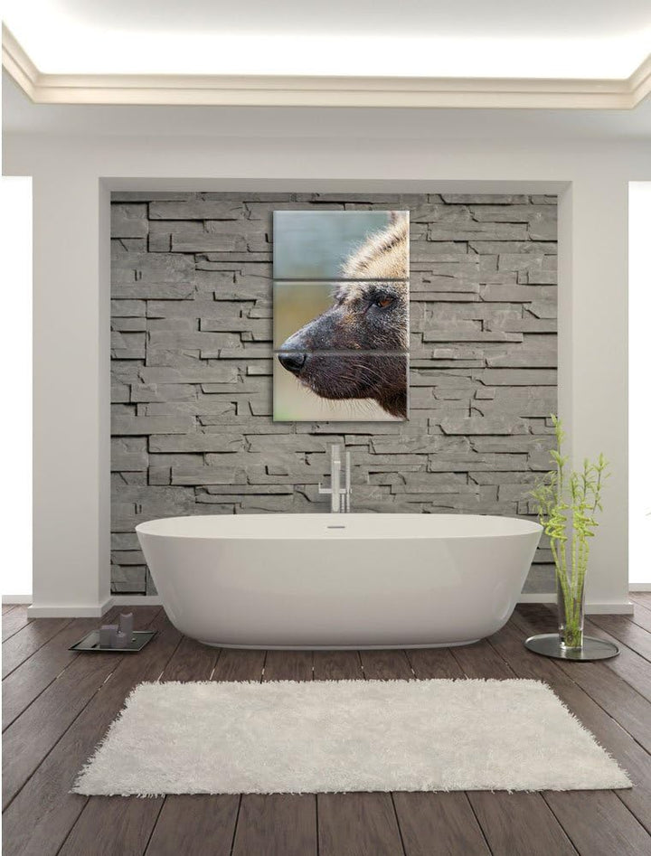 Pixxprint Hyäne im Seitenprofil als Leinwandbild/Grösse: 3 Teilig (120x80) cm/Wandbild/Kunstdruck/fe
