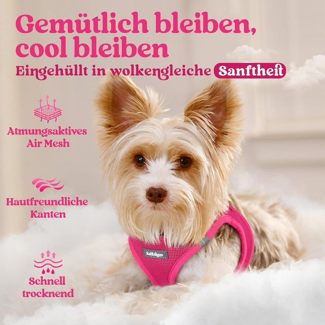 rabbitgoo Hundegeschirr Kleine Hunde, Step-in Welpengeschirr Weich Mesh für Spaziergänge, Atmungsakt