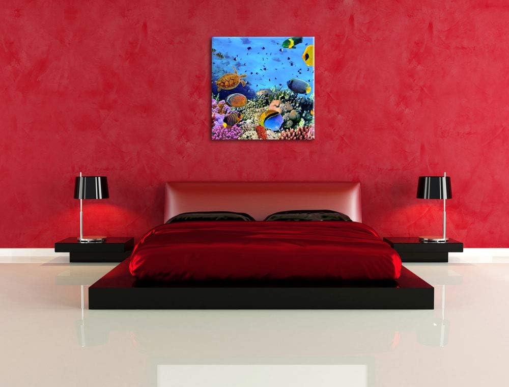 Pixxprint Fische über Korallenriff als Leinwandbild/Grösse: 70x70 cm/Wandbild/Kunstdruck/fertig besp