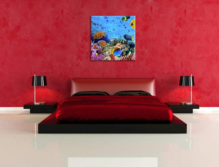 Pixxprint Fische über Korallenriff als Leinwandbild/Grösse: 70x70 cm/Wandbild/Kunstdruck/fertig besp