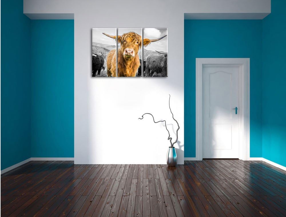 Pixxprint Niedlicher Blick Einer Kuh an der Weide B&W Detail 3-Teiler Leinwandbild 120x80 Bild auf L