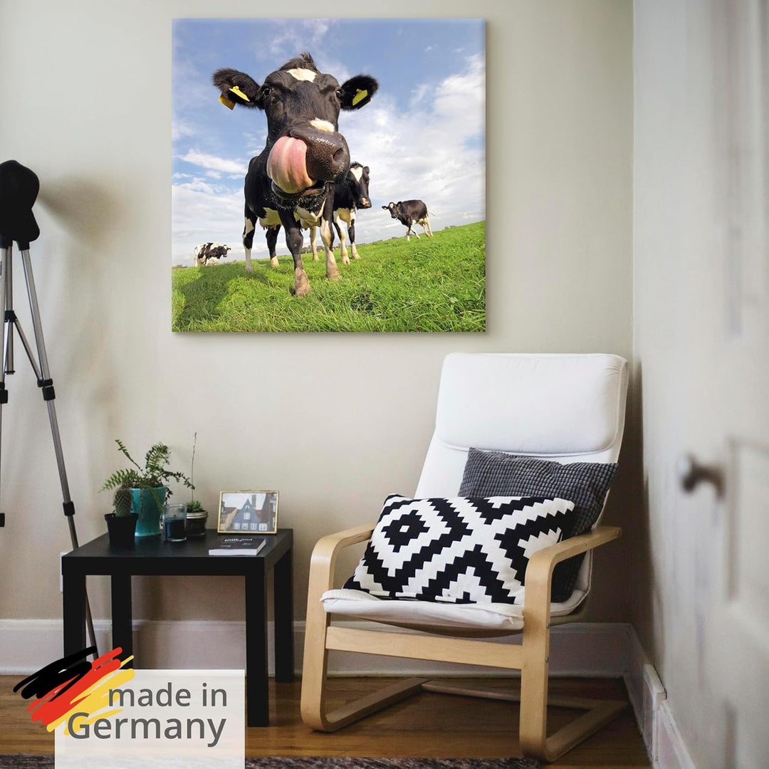 ARTland Leinwandbilder Wandbild Bild auf Leinwand 70x70 cm Kuh Tiere Zunge Lustig Süss Landhaus Baue