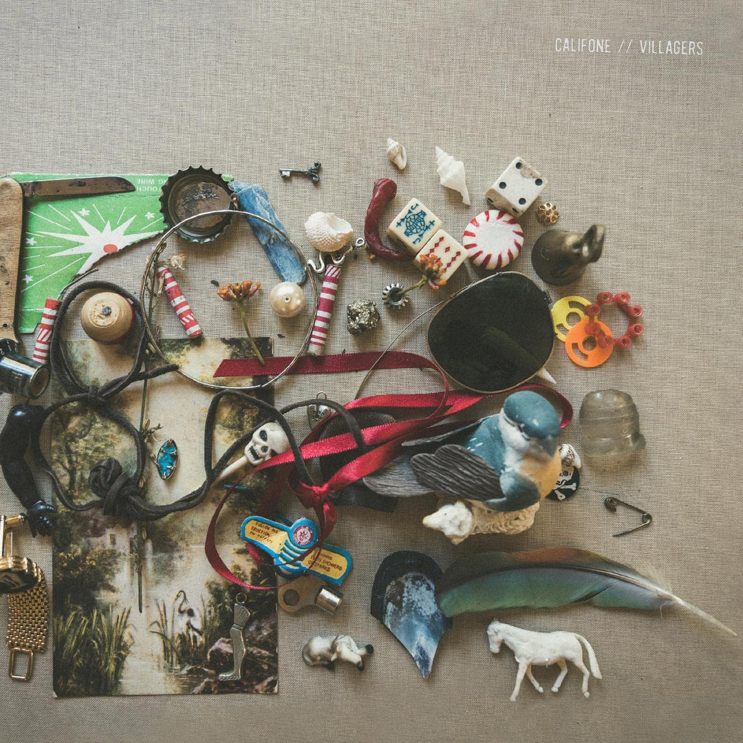 Villagers, Vinyl