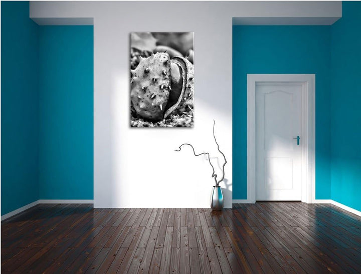 Pixxprint Monocrome, Erste Kastanie öffnet Sich, Format: 100x70 auf Leinwand, riesige Bilder fertig