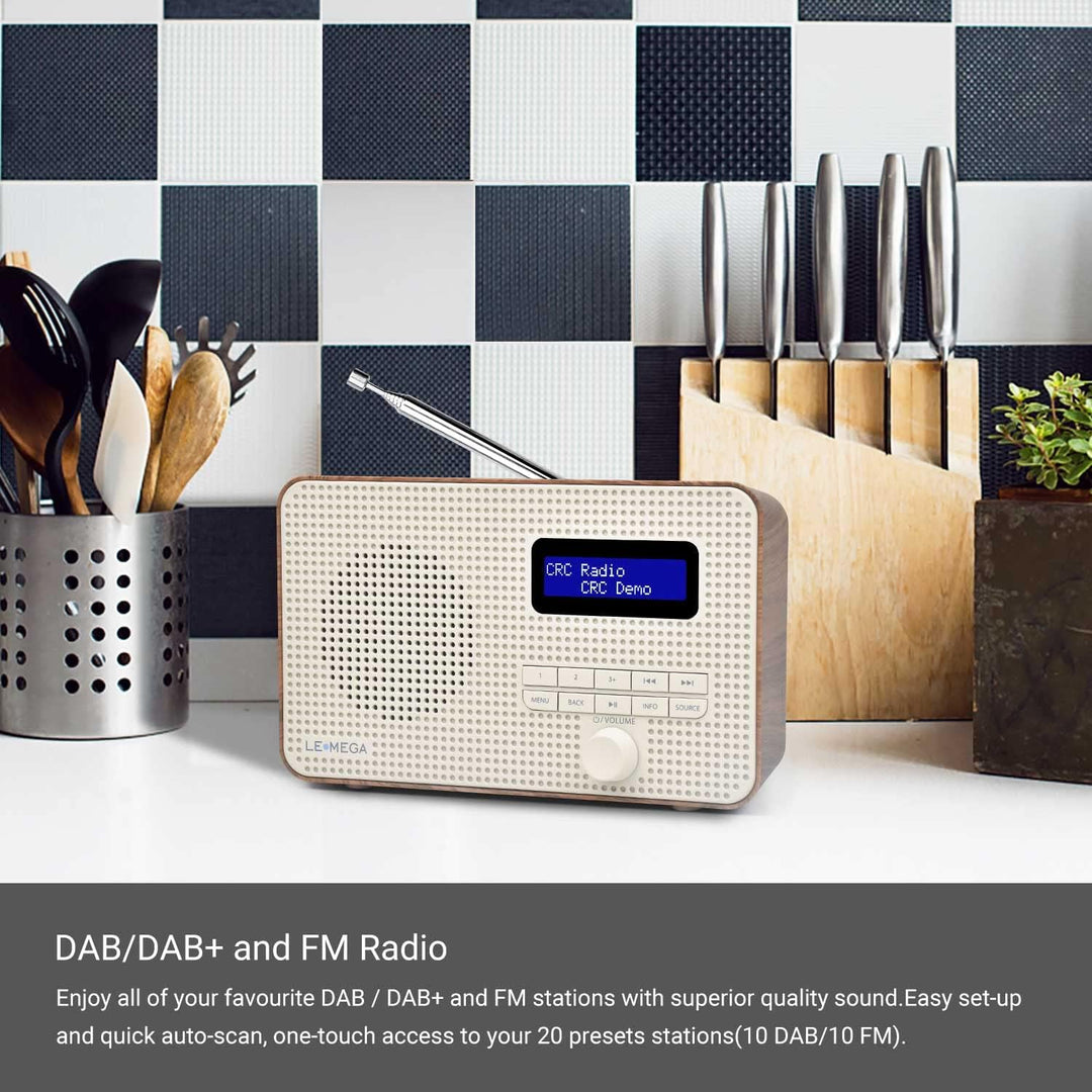 LEMEGA DR1 Tragbares DAB/DAB+ und UKW-Digitalradio,DAB-Radio mit Handbedienung,Doppelalarm,Schlummer