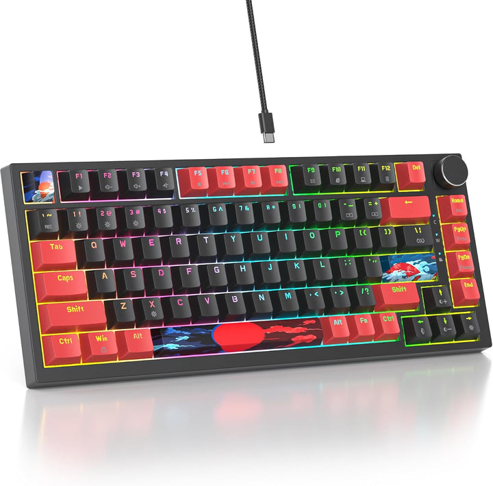 SOLIDEE Verkabelte 75% Mechanische Gaming-Tastatur,hot-swap-fähige Mechanische Tastatur mit Gasket S