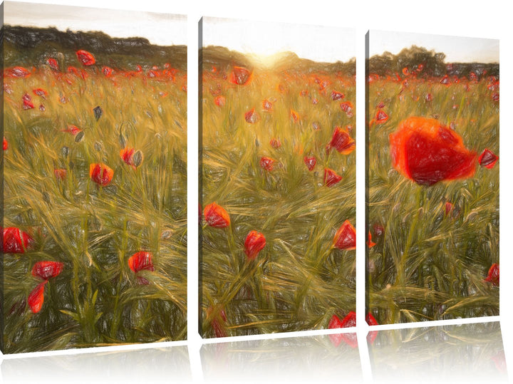 Pixxprint Mohnfeld bei Sonnenuntergang als Leinwandbild 3 teilig/Grösse: 3 Teilig (120x80) / Wandbil