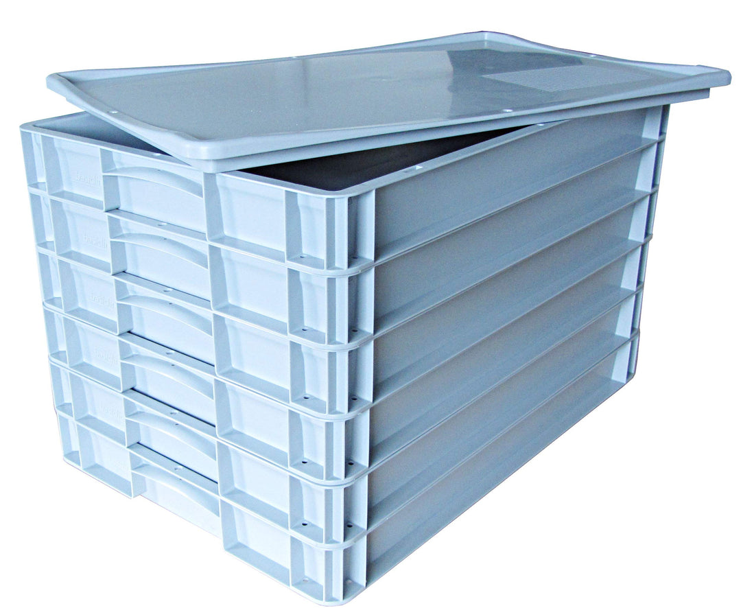 6x Pizzaballenbox (Farbe grau) + 1 Auflagedeckel (Farbe grau), Pizzaballenbehälter, Pizzateigbehälte
