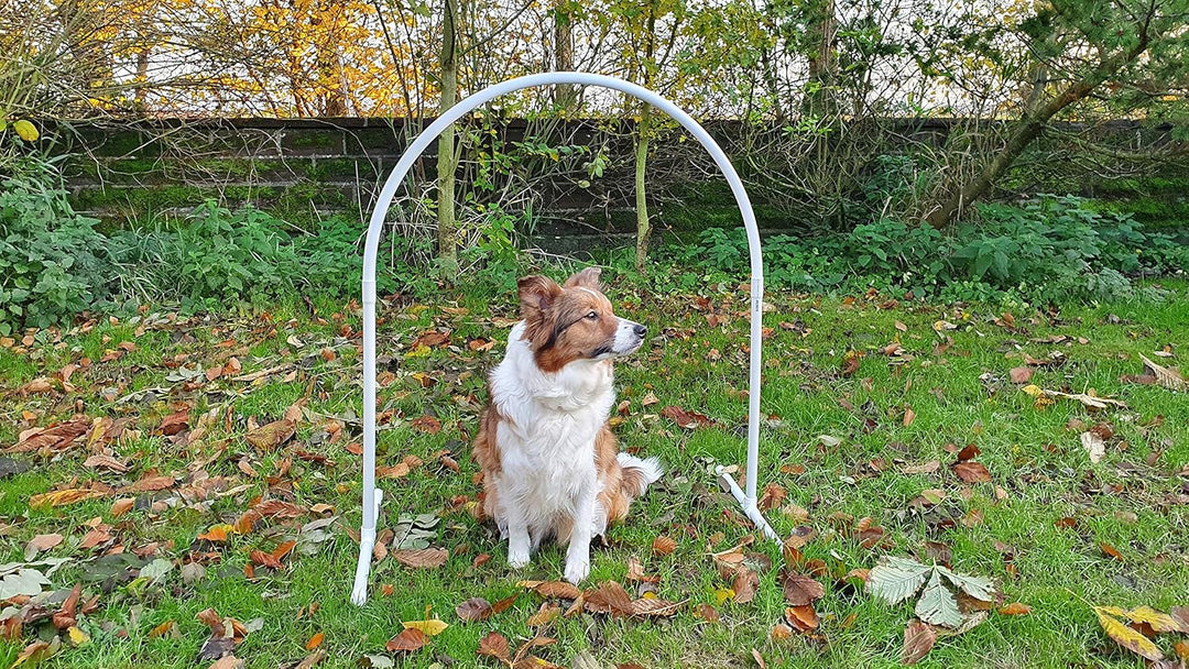Hoopers Bogen / VDH-Konform / Hoop / Hoops / Fun Hoopers Agility Bogen mit Ständer / PVC weiss / hel