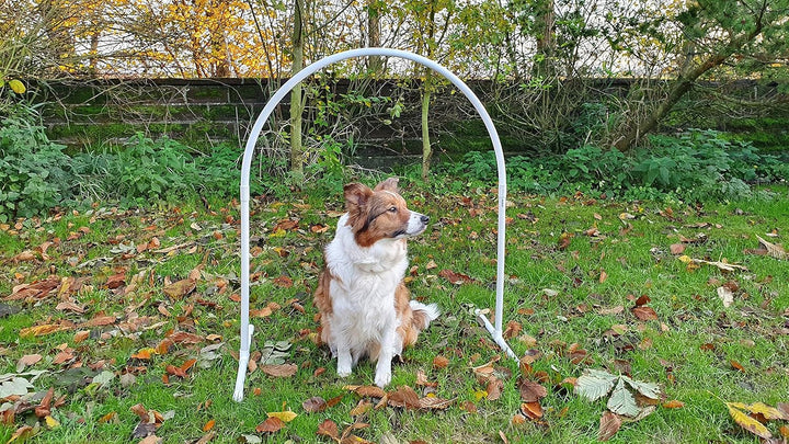 Wuzzmann 3 x NADAC Hoopers Bogen mit Ständer, VDH-KONFORM, PVC/ALU, weiss/grau, Hoop/Hoops/Fun Hoope