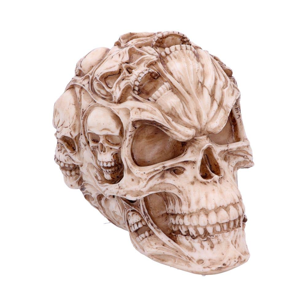 Nemesis Now Skulls James Ryman Totenkopf, 18 cm, elfenbeinfarben