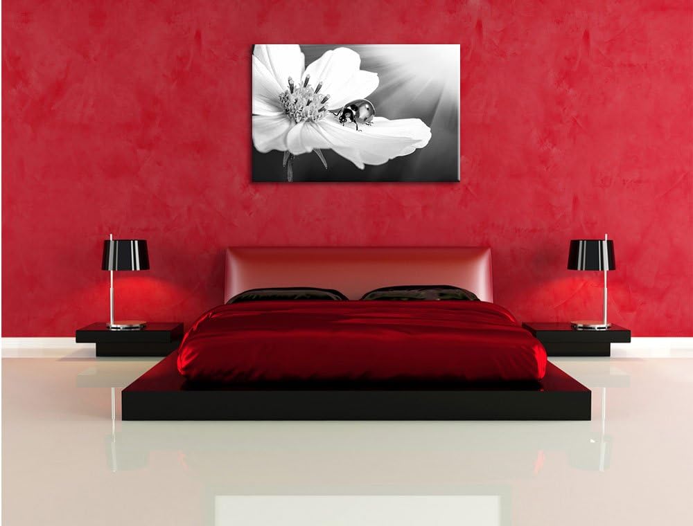 Pixxprint Marienkäfer auf Einer Blume / 100x70cm Leinwandbild bespannt auf Holzrahmen/Wandbild Kunst