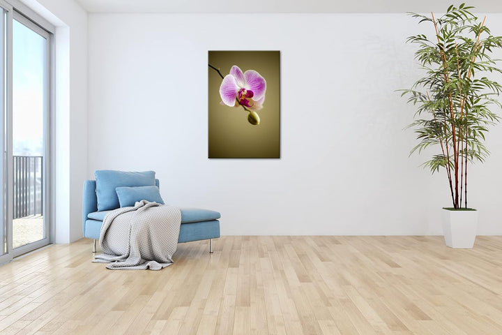 deyoli zauberhafte Orchidee Format: 100x70 als Leinwandbild, Motiv fertig gerahmt auf Echtholzrahmen