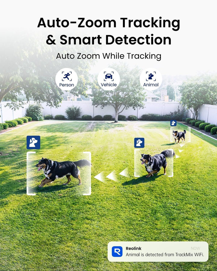 Reolink 4K 8MP Wi-Fi 6 PTZ Überwachungskamera Aussen WLAN mit Auto-Tracking-Zoom, Dual-Objektiv, Dua