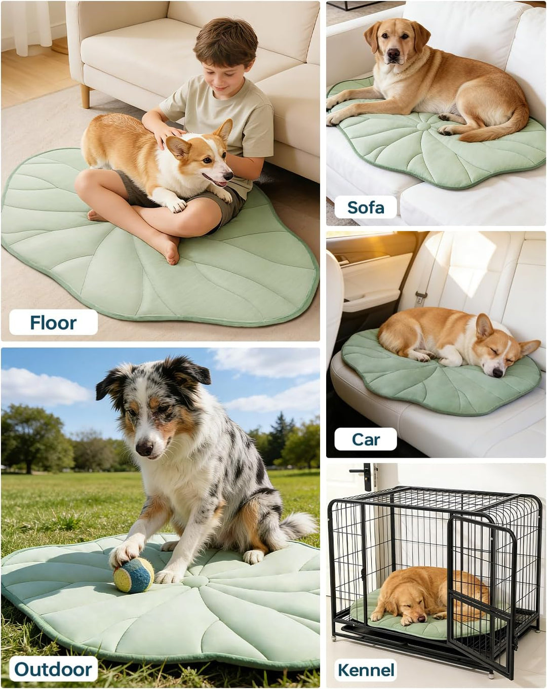 BG-BABYGO Hundekühlmatte, Reversibel, Selbstkühlend, Arc-Chill Kühlpad für Kleine und Mittelgrosse H