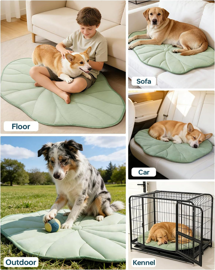 BG-BABYGO Hundekühlmatte, Reversibel, Selbstkühlend, Arc-Chill Kühlpad für Kleine und Mittelgrosse H