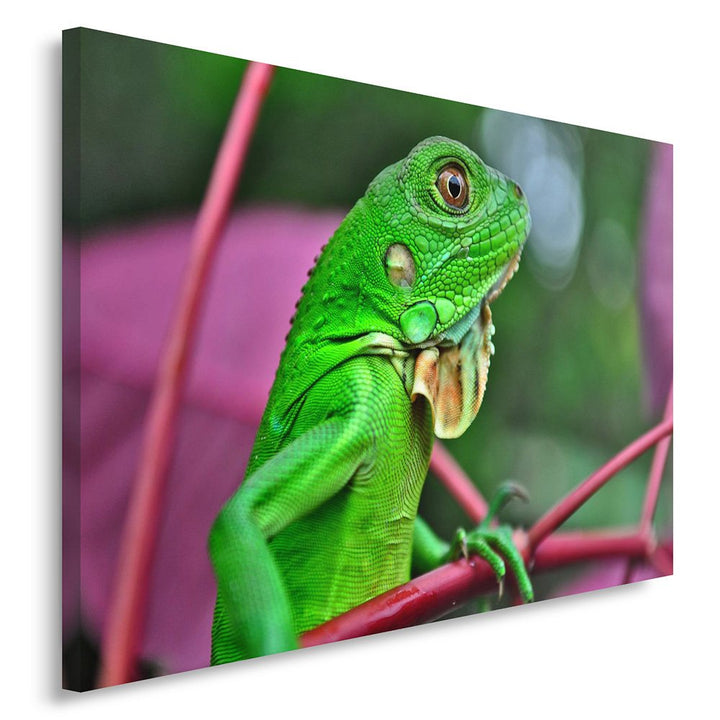 Feeby. Wandbild - 1 Teilig - 50x70 cm, Leinwand Bild Leinwandbilder Bilder Wandbilder Kunstdruck, EI