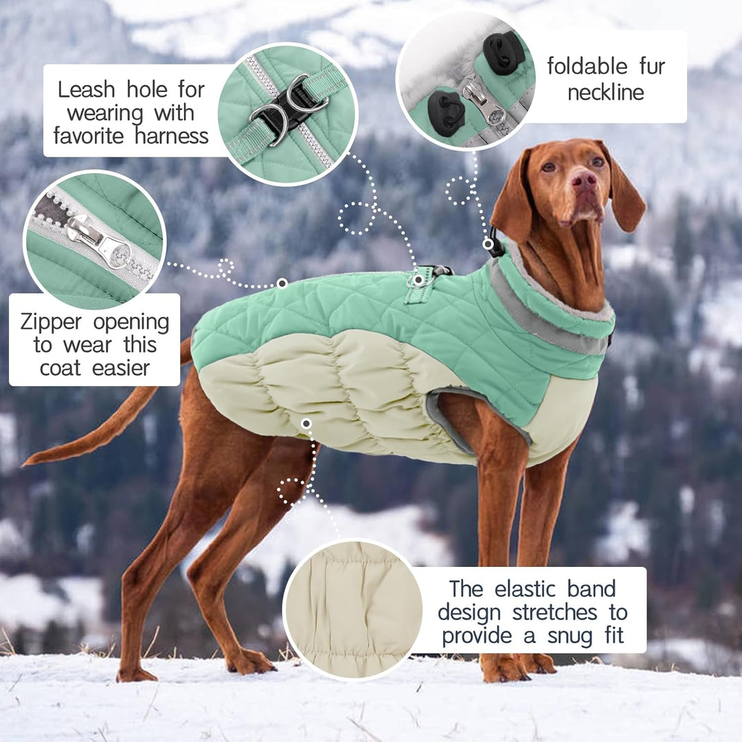 Kuoser Wärme hundemantel, Winddicht hundejacke, Reflektierend hundemantel für kleine Hunde, hundeman