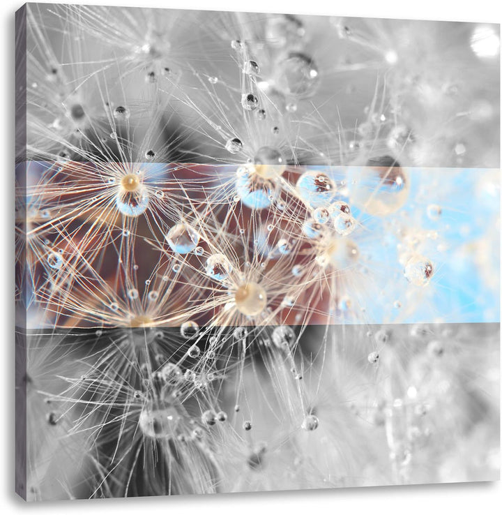 Pixxprint Tropfen an Pusteblume abstrakt schwarz/weiss, Format: 70x70 auf Leinwand, 70x70