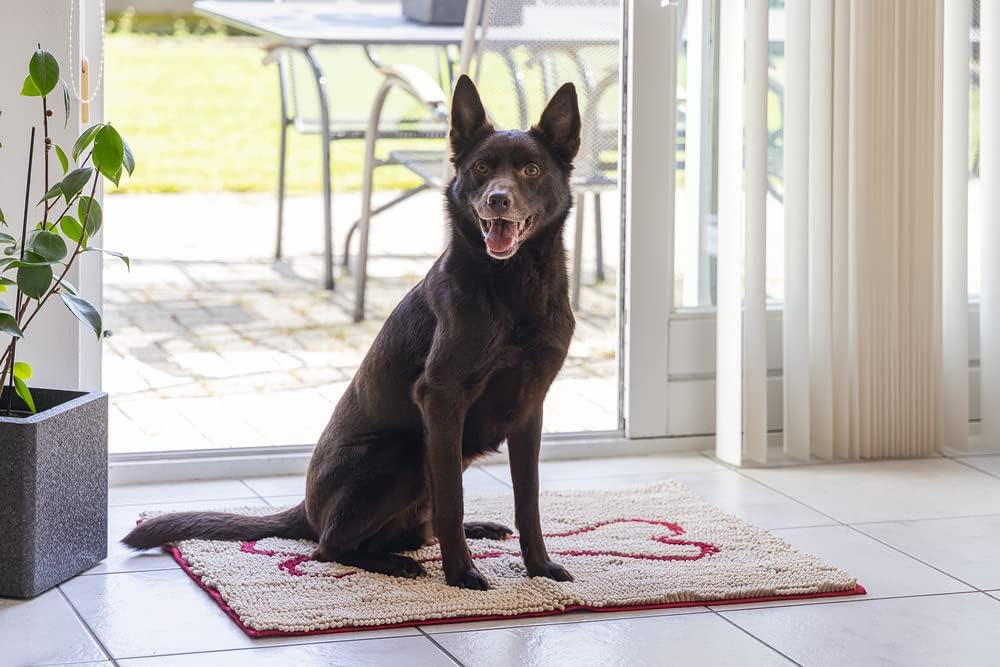 DGS Dirty Dog Doormat L: 90 cm B: 66 cm beige 90 X 66 CM Beige, 90 X 66 CM Beige