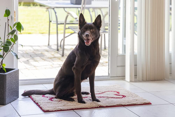 DGS Dirty Dog Doormat L: 90 cm B: 66 cm beige 90 X 66 CM Beige, 90 X 66 CM Beige