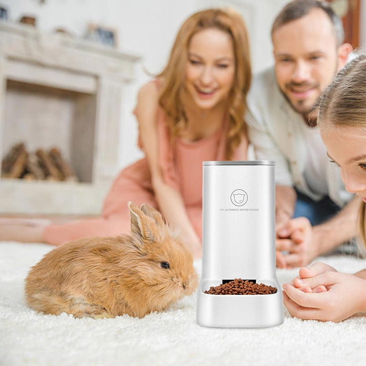 Futterautomat Katze, Katzenfutter Automat, Hohe Kapazität 3,8 L, Reisefutterspender Und Wasserspende