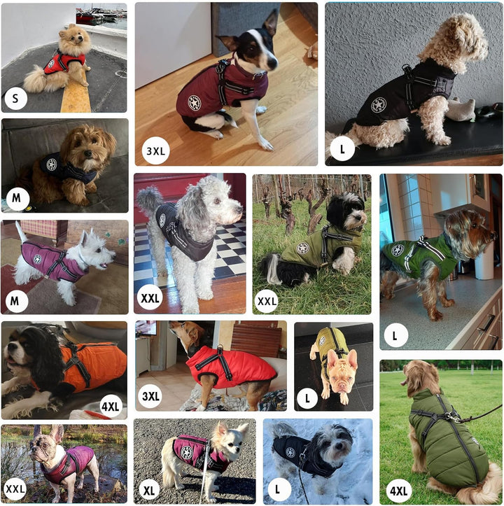 Aiboria Hundejacken für den Winter Winddicht Wasserdicht 2 in 1 Outfit Kaltwettermantel Hundewesteng