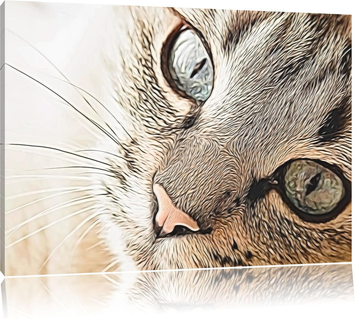 schöne Katzenaugen Format: 100x70 auf Leinwand, XXL riesige Bilder fertig gerahmt mit Keilrahmen, Ku
