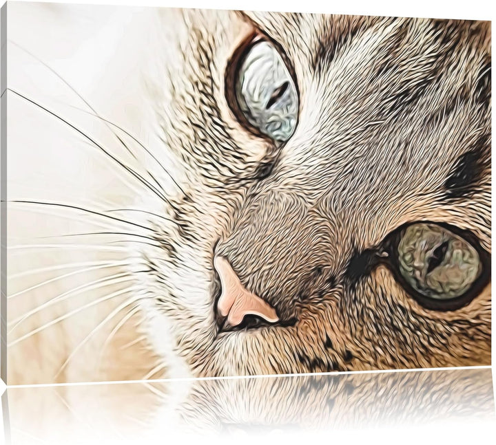 schöne Katzenaugen Format: 120x80 auf Leinwand, XXL riesige Bilder fertig gerahmt mit Keilrahmen, Ku