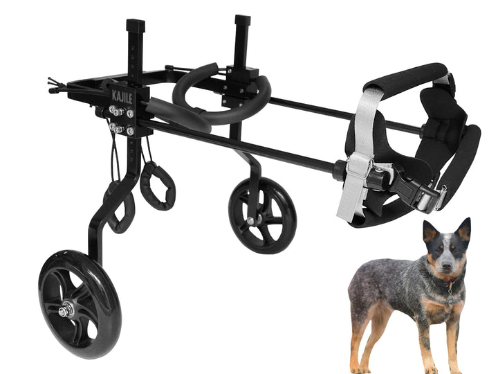 Einstellbare Hunde-Rollstuhl,Haustier Cart,Handicap Hund Schwache Hinterbeine Rehabilitation Trainin
