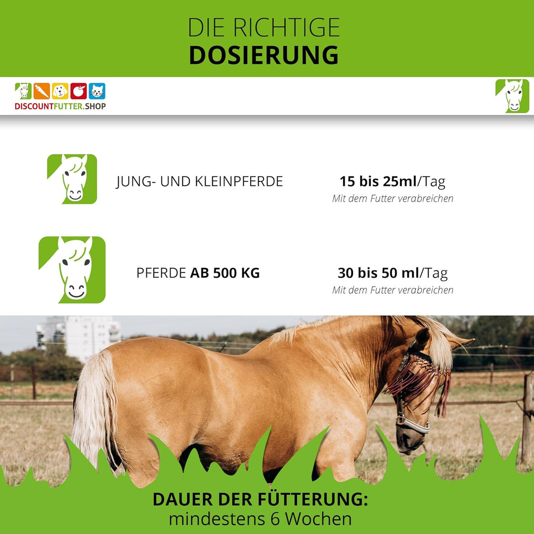 Leinöl 100 (2 x 5 Liter BiB) für Pferde | kaltgepresst | 70% weniger Verpackung (Plastik) | glänzend