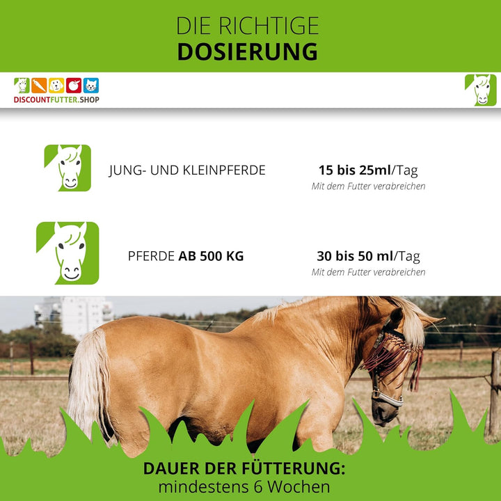 Leinöl 100 (2 x 5 Liter BiB) für Pferde | kaltgepresst | 70% weniger Verpackung (Plastik) | glänzend