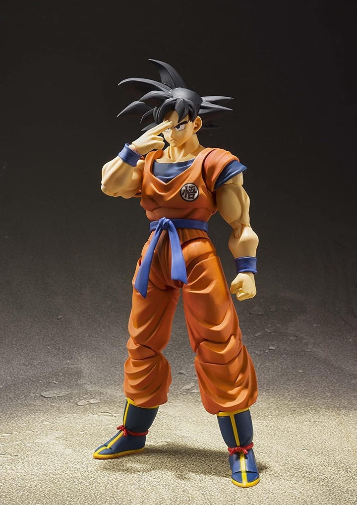 BANDAI - Gelenkfigur, Ärmel, Anime, Mehrfarbig (Tamashii Nations BDIDB208778)