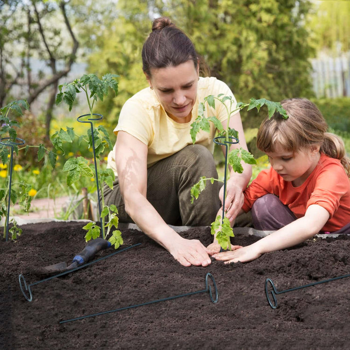 JIALWEN 8 Stück 60 cm Pflanzenstütze, Garten-Einzelstiel-Metall-Pflanzenstützpfahl mit 10 Pflanzenbi