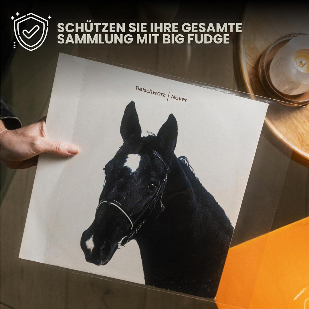 BIG FUDGE Packungen mit 20 externen 10-Zoll-LP-Vinyl, langlebig und knitterfrei, transparentes und h