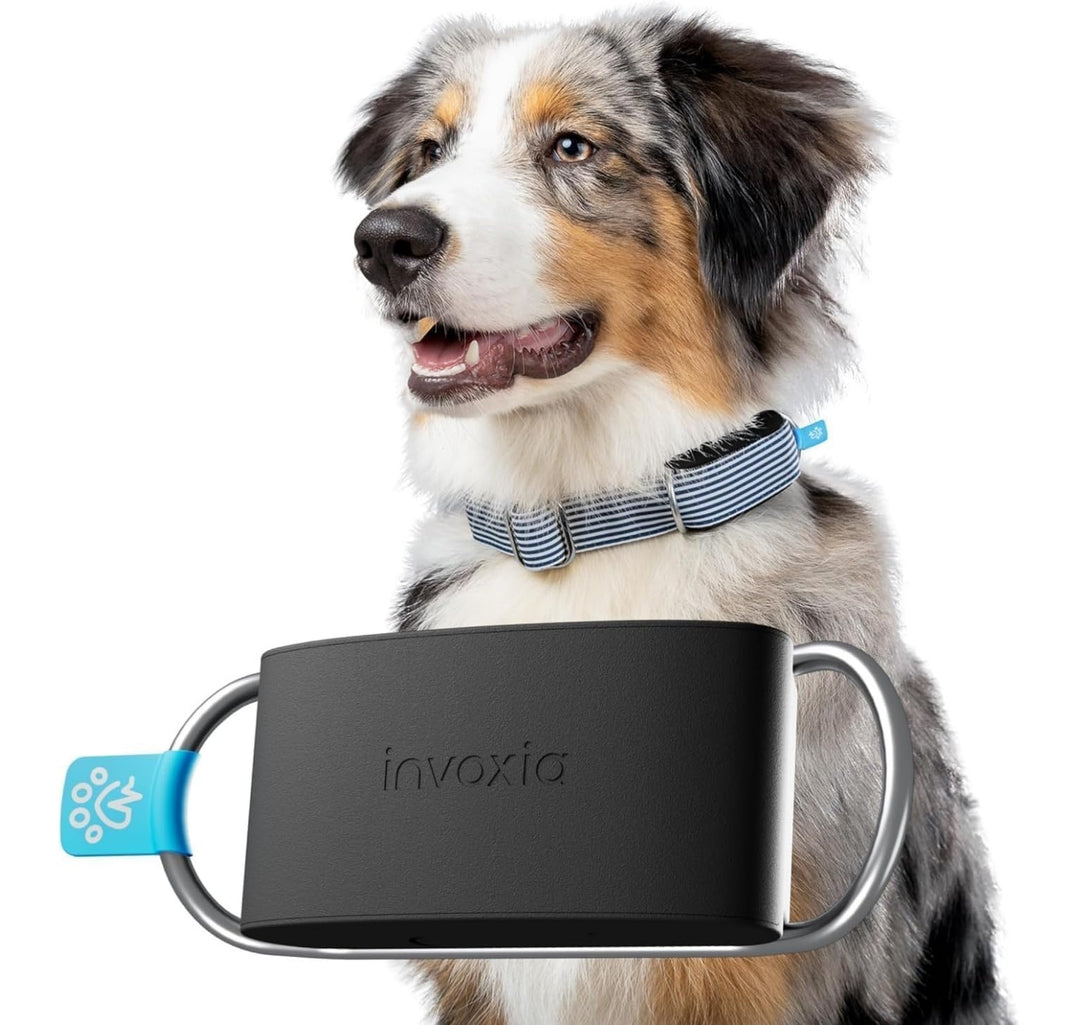 Invoxia Minitailz - Gesundheits- und GPS-Tracker für Hunde 