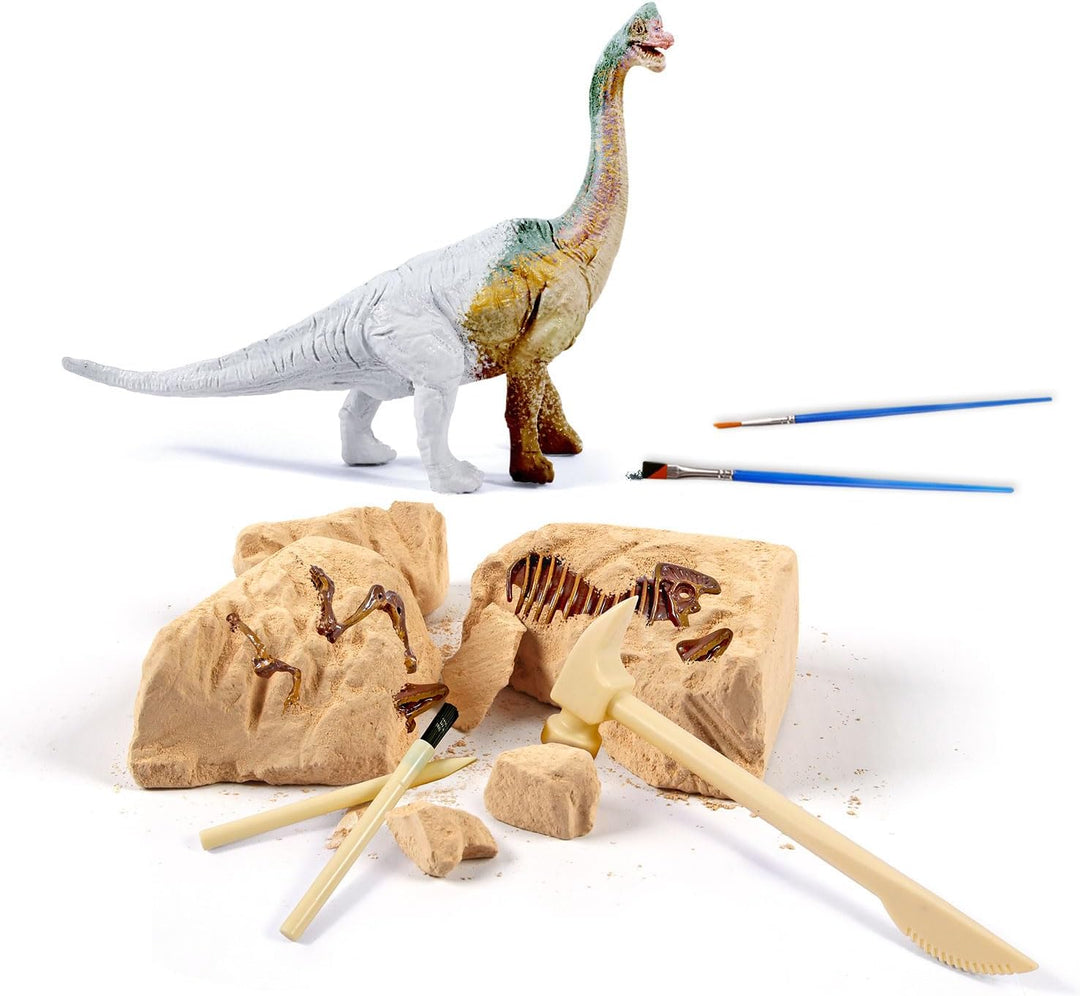 EGGBOX Dinosaurier Skelett Ausgrabungsset für Kinder, 2-in-1 Brachiosaurus Dino Dig & Malset, Dinosa