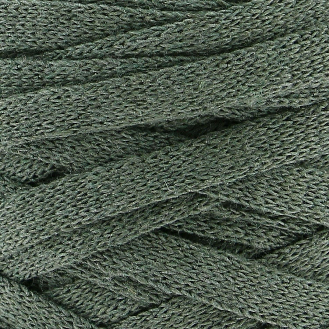 Hoooked Ribbon XL Bändchengarn Sparset aus 4 Rollen Wahl (Dried Herb), Dried Herb