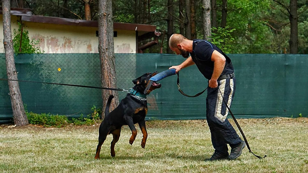 Dingo Gear Baumwolle-Nylon Beisswurst für Hundetraining K9 IGP IPO Obiedence Schutzhund Hundesport,