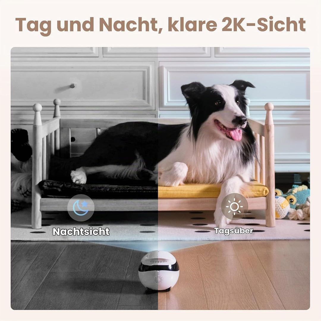 Enabot EBO Air 2 FamilyBot,Haustierkamera mit App,2K Mobiler Heimtierkameras mit Anpassbare Gesichts