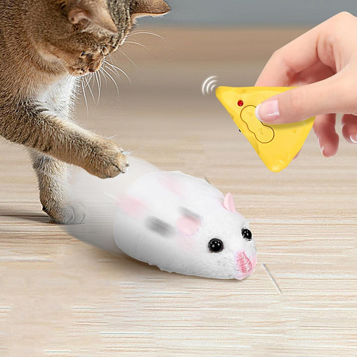 Ferngesteuertes Mäuse-Katzenspielzeug, interaktives ferngesteuertes Spielzeug, 10 x 4 x 3 cm, Jagdbe