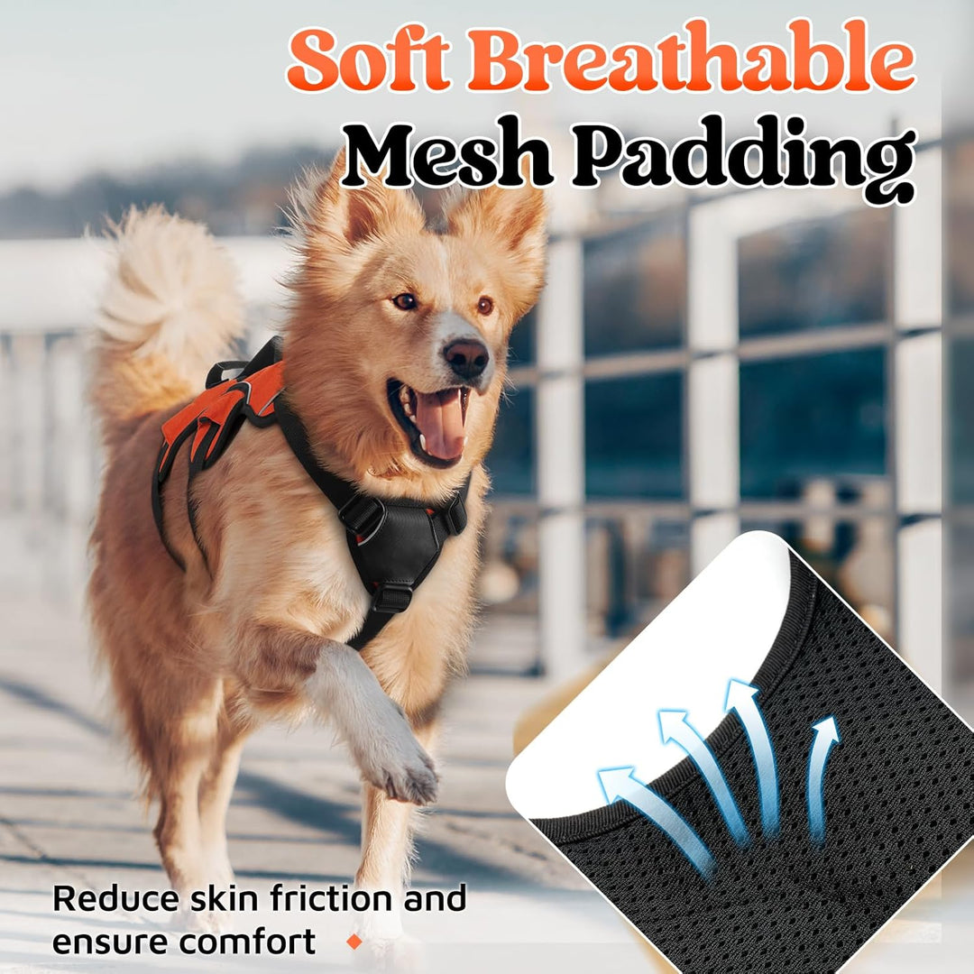 rabbitgoo Ausbruchsichere Hundegeschirr Grosse Hunde mit Griff, Anti Zug Sicherheitsgeschirr Hund At